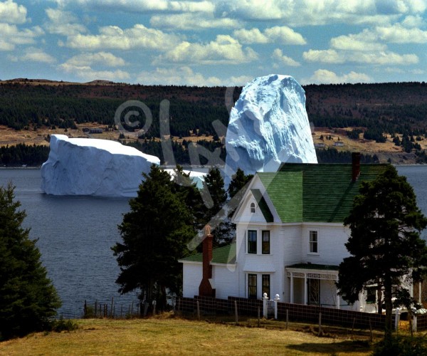 Port de Grave iceberg